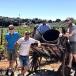 Eine Reise im Zeichen von tapas und Vino! Entdecken Sie Andalusien mit uns in 9 Tagen!