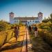 Eine Rundreise zum Schlemmen durch Andalusien. Tapas, Jamón und Gourmetmenüs erwarten Sie!