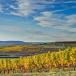 WEINREISE IN UNGARN: kulinarische Gruppenreise von Budapest, über Eger, Tokaj bis Badacsony
