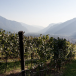Trentino Genussreise | Gourmet All Inclusive