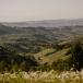 Trueffelreise Piemont