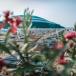URLAUB AM MEER IN LIGNANO: Genießerhotel La Pergola