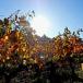 Urlaub in der Provence