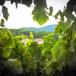 Urlaub in der Provence