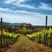Gruppenreise Katalonien mit Priorat, Costa Durada und Costa Blanca