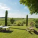 Weinberg-Urlaub in Cognac