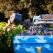 Weingut mit Zimmern Provence