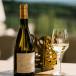 Weinprobe im Languedoc im zauberhaften Chateau Capitoul der Bonfils Vignobles Weindynastie!