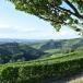 Weinverkostung Barolo