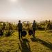 Kurzurlaub im Valpolicella: Reisfelder, Weinberge und das romantische Castrum Wine Relais
