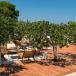 Zimmer mit Pool Otranto