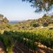 Wochenendtrip Provence