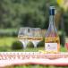 Urlaub in der Provence