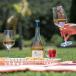 Urlaub Weingut Provence