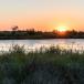 Vive La France! Genussurlaub in der Camargue: Jeep-Safari, Genießer-Menüs und endlose Strände