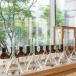 KURZURLAUB IN MAILAND: DAS DESIGN- UND PARFUM-HOTEL MAGNA PARS
