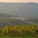Weinreise Italiens in der Emilia-Romagna im Weingut Borgo Condé