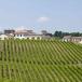 Weinverkostung mit Übernachtung im Weingut Borgo Condé
