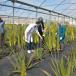 Apulien Urlaub im Salento im Bio-Resort