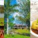 Magische Mauritius Rundreise mit dem Mietwagen