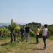 Geführte Weinwanderung mit Weinverkostung im La Subida, Italien 