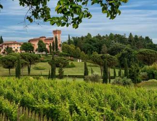 Weinreisen in Frankreich und Italien